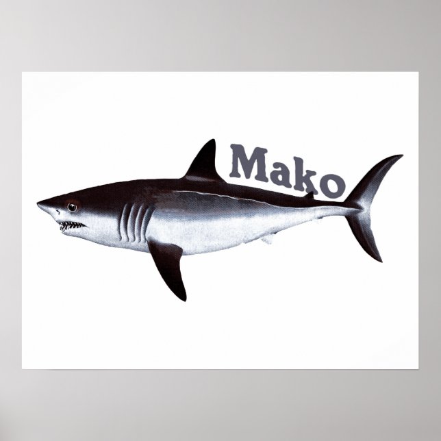 Vintage Mako Shark Poster (Framsidan)