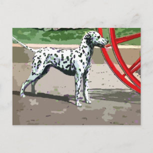 vintage målat dalmatiskt vykort