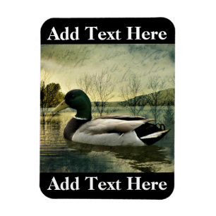 Vintage Mallard Anka Weasted-vykort Magnet