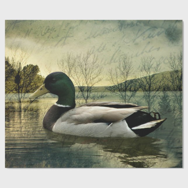 Vintage Mallard Anka Weasted-vykort Presentpapper (Platt)
