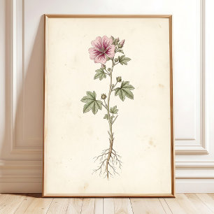 Vintage Mallow Botanisk Galleri Väggkonsttryck Poster