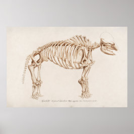 Vintage Mamoth Illustration Poster