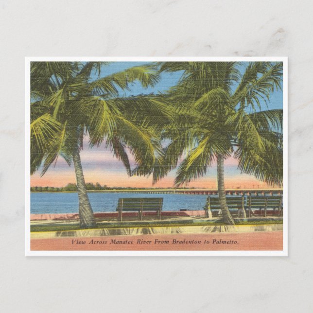 Vintage Manatee River Bradenton Florida Vykort (Framsida)
