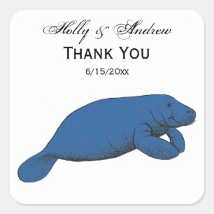 Vintage Manatee Teckning Blue Fyrkantigt Klistermärke