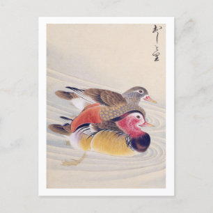 Vintage: Mandarin anka Vykort