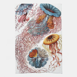 Vintage maneter av Ernst Haeckel, Discomedusae Kökshandduk