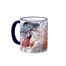 Vintage maneter av Ernst Haeckel, Discomedusae