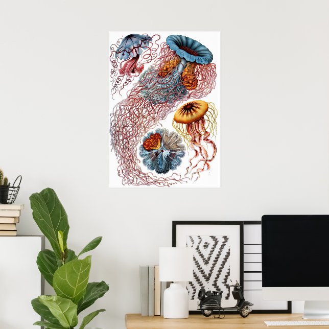 Vintage maneter av Ernst Haeckel, Discomedusae Poster (Hemmakontoret)