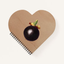 Vintage Mangosteen Illustration