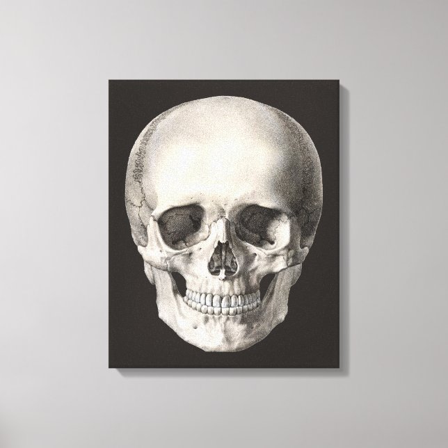 Vintage människans anatomi skalle, Halloween skele Canvastryck (Framsida)