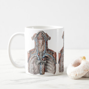 Vintage mänsklig anatomi hals, nacke, bröst, revbe kaffemugg