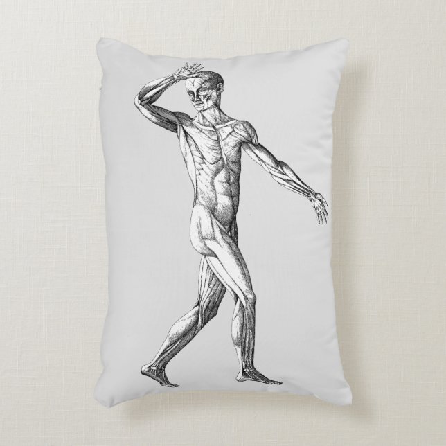 Vintage mänsklig anatomi, manliga kroppsmuskler prydnadskudde (Framsidan(Vertikal))