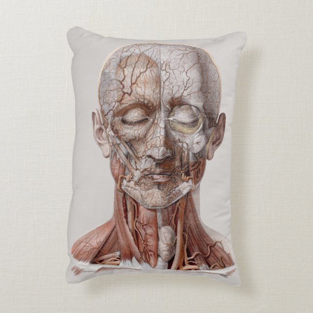 Vintage mänsklig anatomi vetenskap, huvud hals näs prydnadskudde (Baksidan(Vertikal))