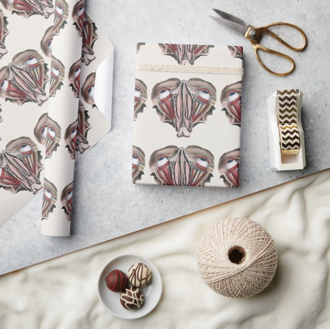 Vintage mänsklig anatomi vetenskap, ögon ögon presentpapper (Hantverk)