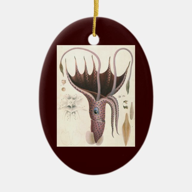 Vintage Marine Life Animals, Parbrella Squid Julgransprydnad Keramik (Framsidan)