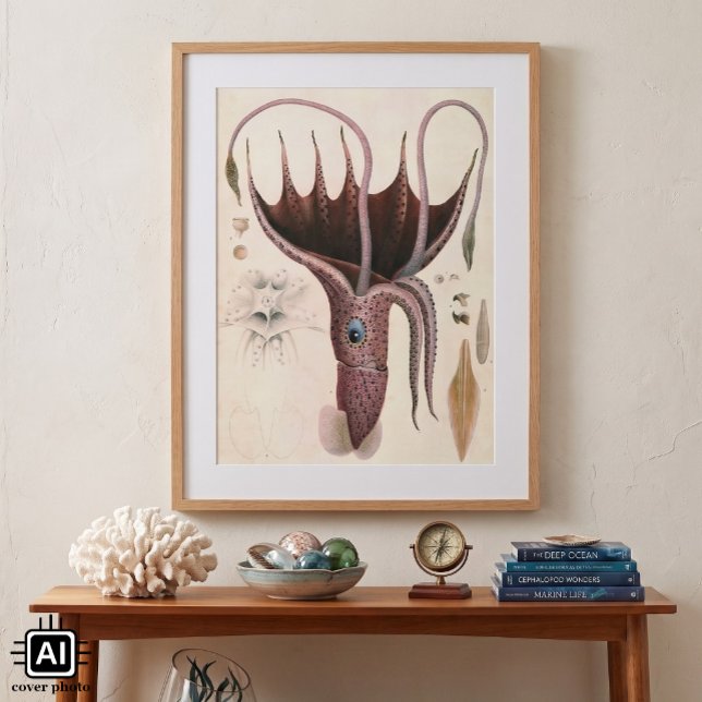 Vintage Marine Life Animals, Parbrella Squid Poster (Vintage illustration marine life animal image featuring an Umbrella Squid by Antoine Chazal.)