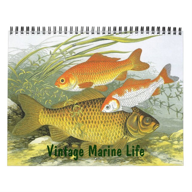 Vintage Marine Life Fish, Oceans and Rivers Kalender (Omslag)