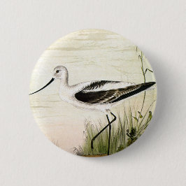 Vintage Marine Life Shorebird, Avocet Birds Knapp