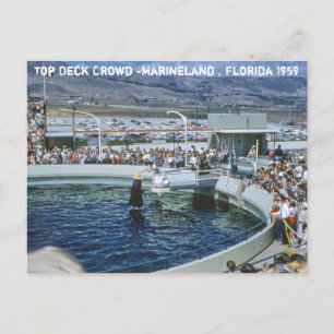 Vintage Marineland Florida Vykort