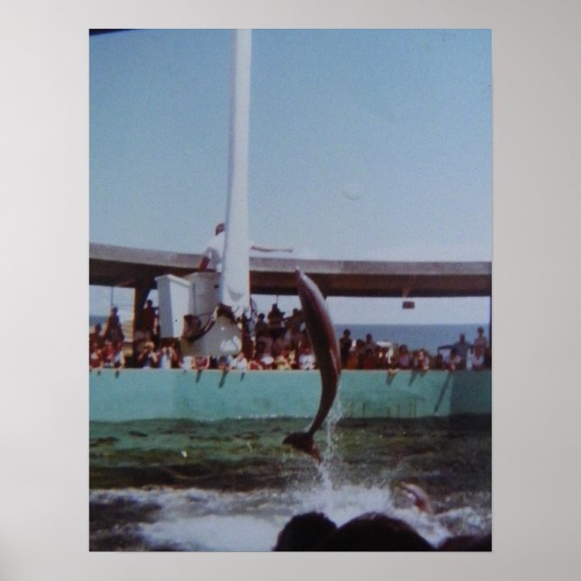 VINTAGE MARINELAND POSTER (Framsidan)