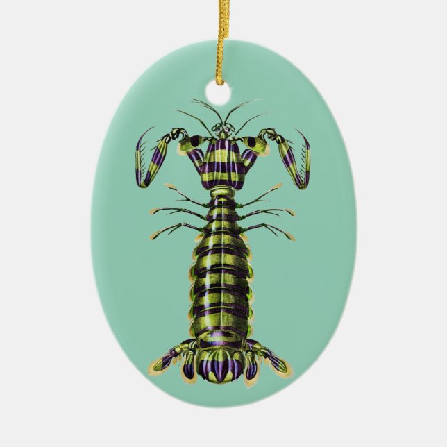 Vintage Marinmålning - jättekammarstomatopod Julgransprydnad Keramik (Framsidan)
