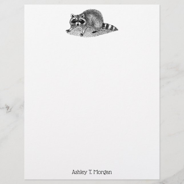 Vintage Mask Raccoon (Framsida)