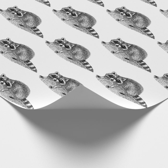 Vintage Mask Raccoon Presentpapper (Hörn)