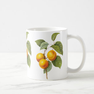 Vintage mat Bruk Frukt, Aprikos Persika av Redoute Kaffemugg