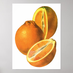 Vintage Mat, färska, friska, organiska Orangar Poster