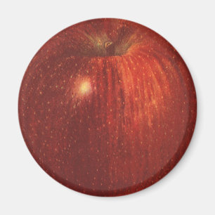 Vintage mat frukt, ekologisk Red Delicious äpple Magnet