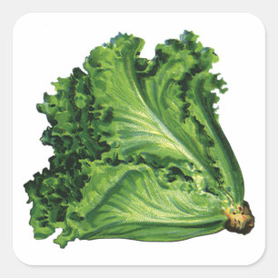 Vintage mat, grön sallad grönsaker fyrkantigt klistermärke