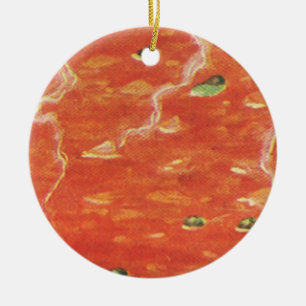 Vintage mat, het tallrik tomatssoppa med ärtor julgransprydnad keramik