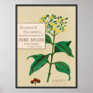 Vintage: matadvertizing - poster