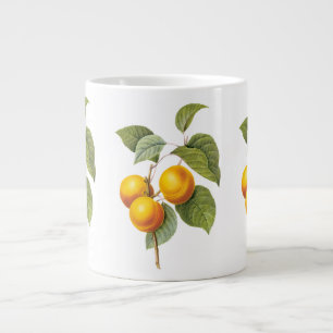 Vintage matfrukt, Aprikos Persika av Redoute Jumbo Mugg