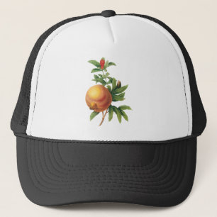 Vintage matfrukt, Granatäpple av Redoute Keps