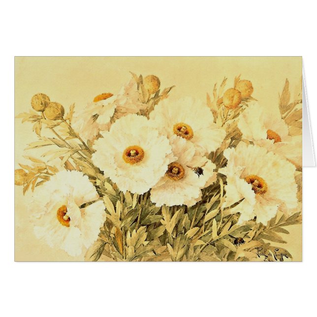 Vintage Matilija Poppies Hälsningskort (Framsidan Horizontal)