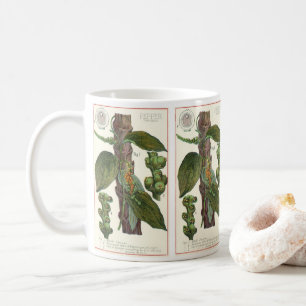 Vintage matörter kryddor, svartpepparväxt kaffemugg