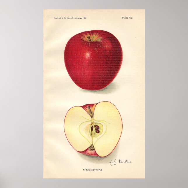 Vintage McCroskey Apple Poster (Framsidan)