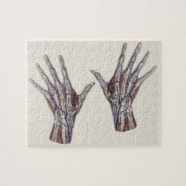 Vintage Medicine, Human Anatomy Hand Fingers Pussel