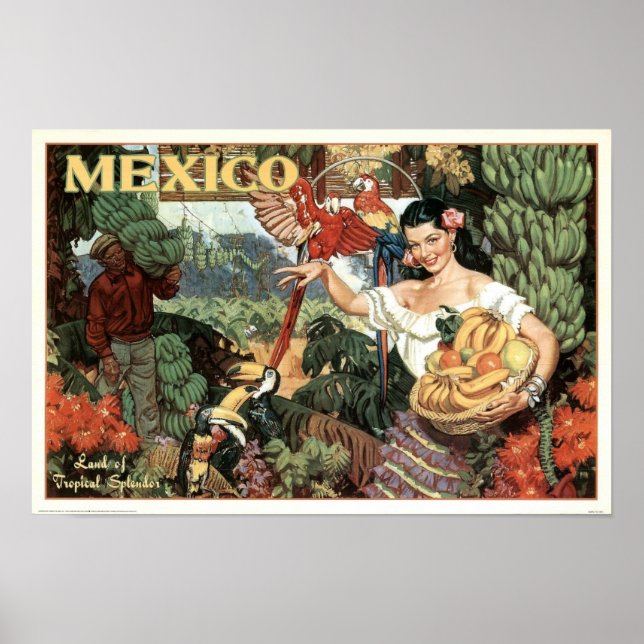 Vintage Mexiko Land Tropical Splendor Poster (Framsidan)