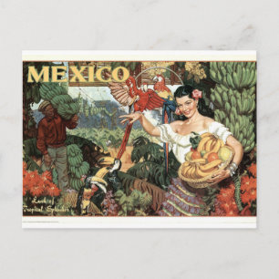Vintage Mexiko Poster Vykort