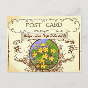 Vintage Michigan State Flower Postkort Vykort