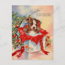 Vintage Mid Century Bevackra Baby Boston Terrier Vykort