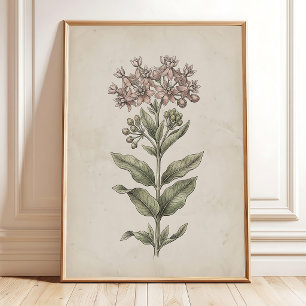 Vintage Milkweed Blomma Farmhouse Väggkonst Canvas