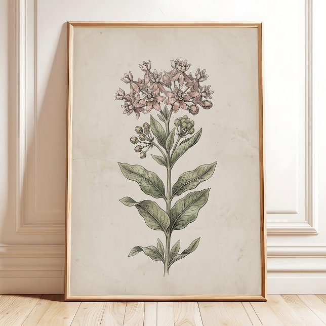 Vintage Milkweed Blomma Farmhouse Väggkonst Canvas (Skapare uppladdad)