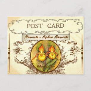 Vintage Minnesota State Flower Postcard Vykort