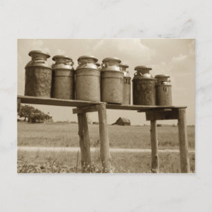 Vintage Mjölk Cans Vykort