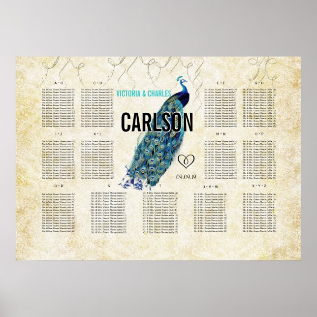 Vintage Modern Peacock-sätesdiagram Poster (Framsidan)