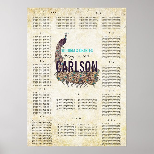 Vintage Modern Peacock-sätesdiagram Poster (Framsidan)