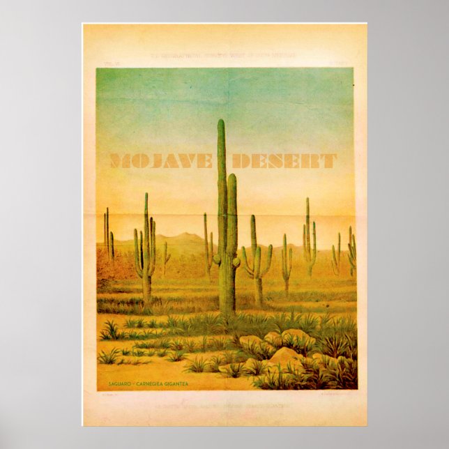 Vintage Mojave Desert Travel Poster (Framsidan)
